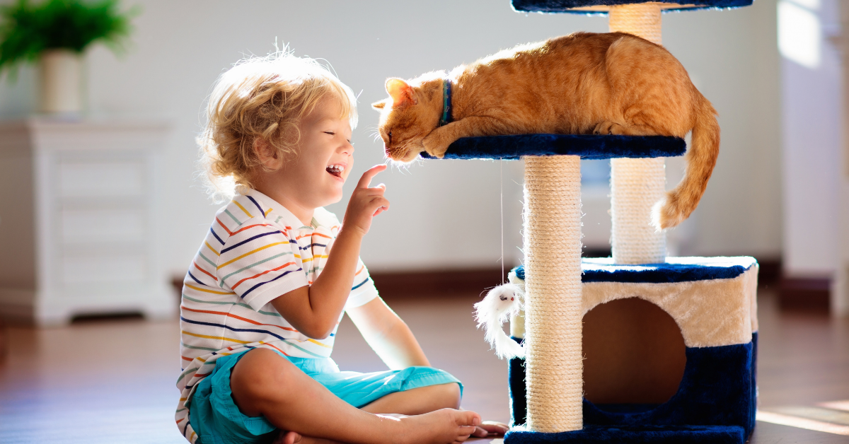 Unlock the Joy of Playtime: How to Choose the Best Interactive Toys for Your Cat