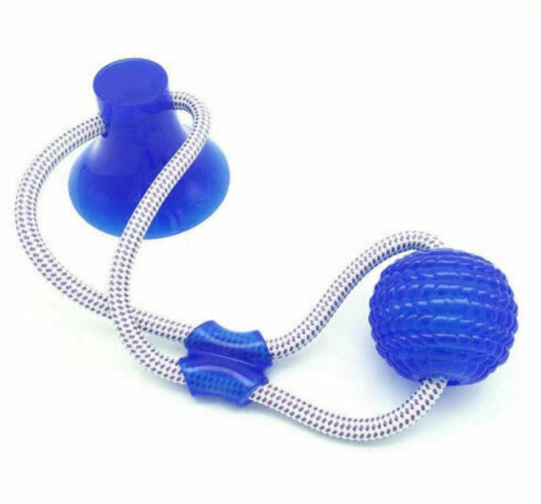 Pet Interactive Suction Cup  Elastic Rope