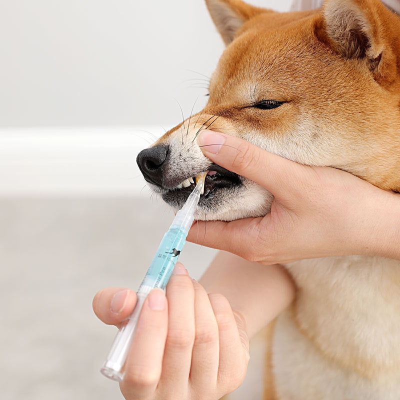 5ml Dog Teeth Cleaning Pen