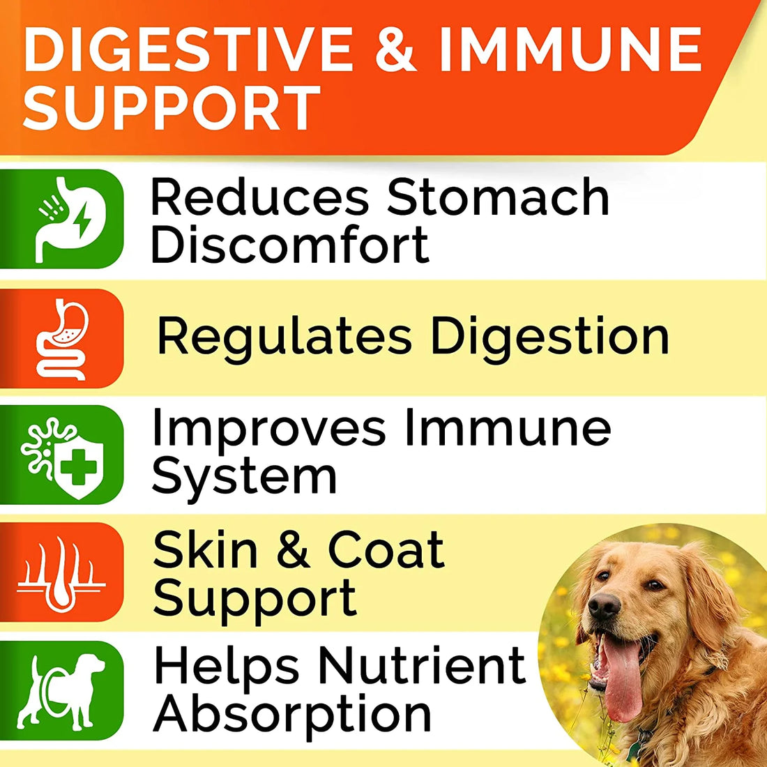 Delicious Probiotic Chews for Dogs - Digestive Enzymes & Gut Health Treats for Happy Tummies!